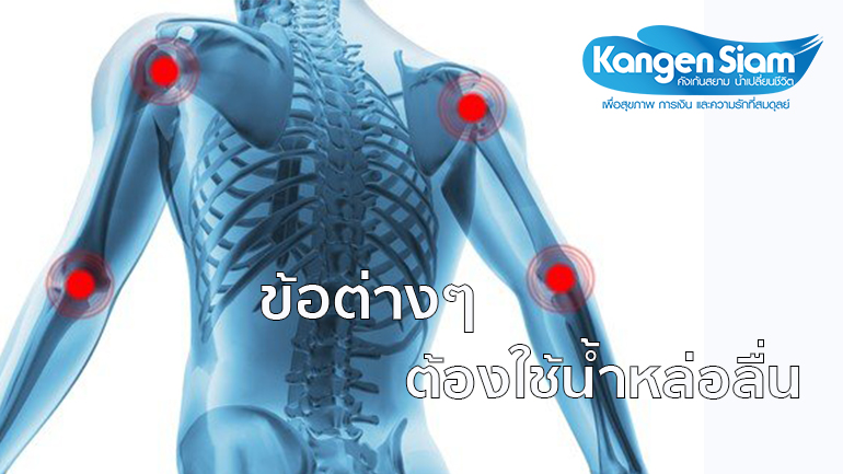 ข้อต่อต่างๆ ในร่างกาย